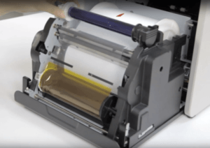 The ink ribbon and media loaded into a dye sub printer.